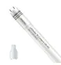 Philips Tube LED T8 CorePro (UN) High Output 8W 850lm - 830 Blanc Chaud | 60cm - Équivalent 18W