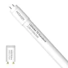 Noxion Tube LED T8 Avant (EM/Direct 230V) Standard Output 19W 2300lm - 840 Blanc Froid | 150cm - Équivalent 58W